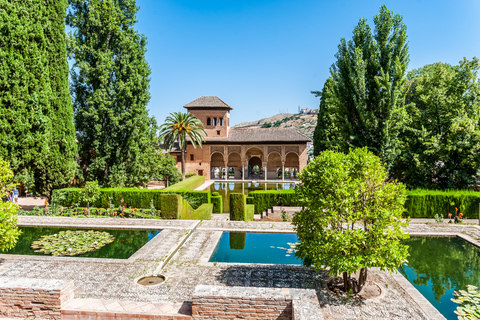 Granada: Alhambra & Nasrid Palaces Tour with Tickets Private Tour in Italian