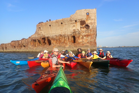 SS Selma Concreate Shipwreck | Historical WWI Landmark