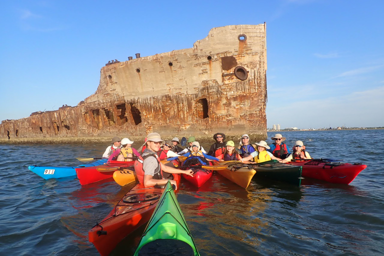SS Selma Concreate Shipwreck | Historical WWI Landmark