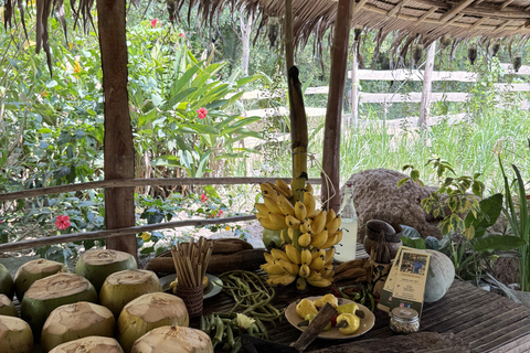 El Nido, Sibaltan: Local Organic Farm Tour & Product Tasting Farm Tour: 2 to 5
