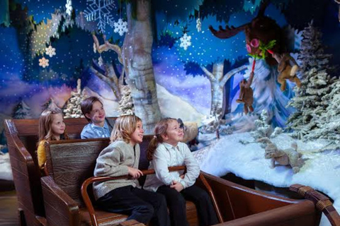 Rovaniemi: SantaPark All-Day Adventure with Lunch
