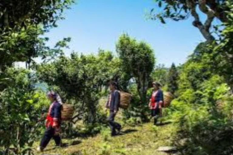 Depuis Hanoi : 2 jours pour découvrir les chutes d&#039;eau de Ha Thanh et le village de Khuoi My ...