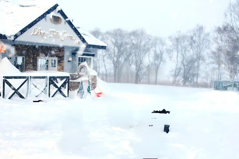 From Sapporo: Noboribetsu&Lake Toya Highlghts Customize tour MAX 6PAX