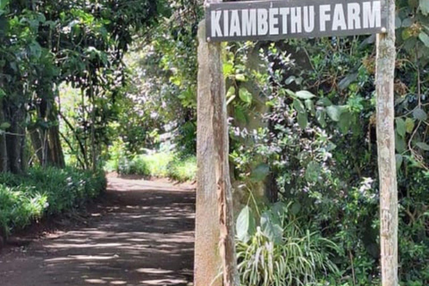 Full Day Kiambethu Tea Farm Tour