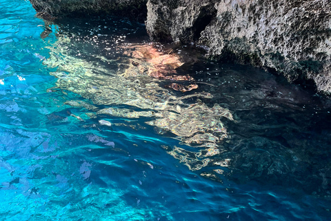 Malta: Comino, Blue lagoon Private Speed Boat Tour