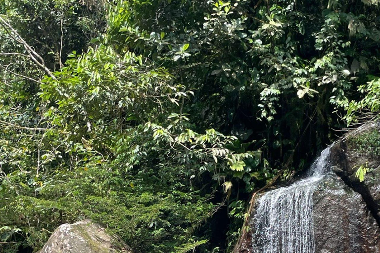 Équateur : Journée complète de rafting en eaux vives sur le Jondachi et le Hollin