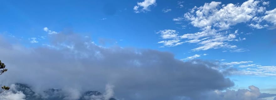 Nouméa : excursion dans la forêt tropicale avec prise en charge