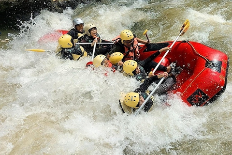 Bali: Ubud Rafting, ATV Ride, and Art Market Tour Single ATV only with meeting point (No Pick up & Drop Off)