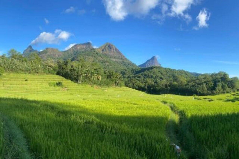 康提：米穆尔村一日游（含午餐及导览）康提：米穆尔村一日游（含午餐及导游服务）