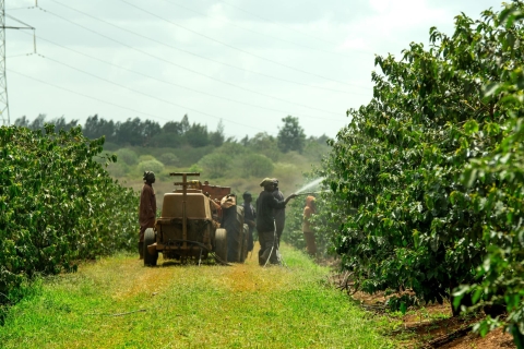 Nairobi : Visite d'une usine de café et d'une ferme avec prise en charge gratuite