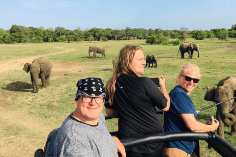 Tour delle rocce di Sigiriya e safari in jeep a Minneriya Sri Lanka