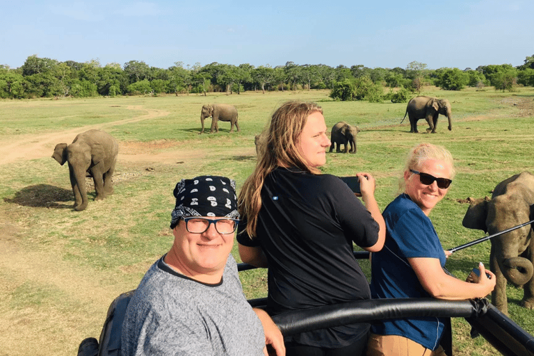 Sigiriya Rock Tour &amp; Minneriya Jeep Safari Sri Lanka