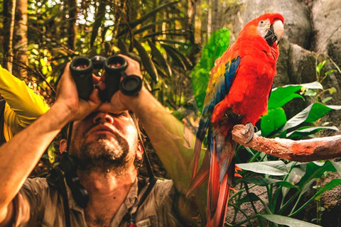 Tambopata: 3-Hour Macaw and Parrot Clay Lick Tour