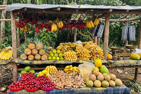 Entebbe: Botanical Gardens, Coffee, and Fruit Tasting Tour