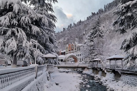 Tbilisi: Borjomi and Bakuriani Day Trip with Guide