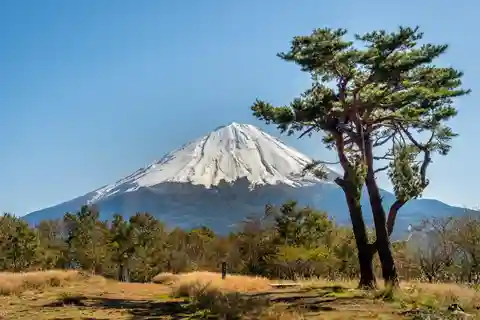 Z Tokia: Soukromá prohlídka hory Fuji na míru
