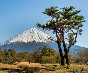 From Tokyo: Mount Fuji Private Customized Tour