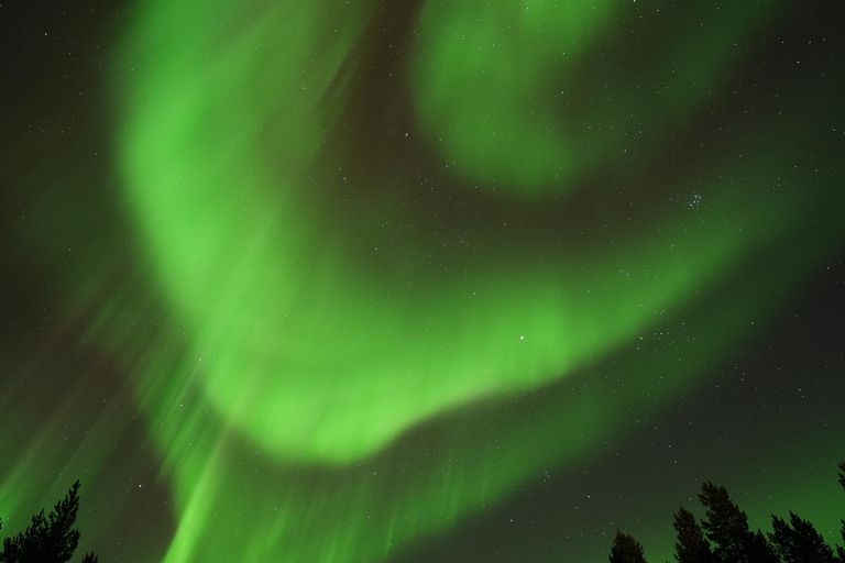 Tromsø: English/Spanish Aurora Pathfinder Tour with Photos Tromsø: English/Spanish Aurora Hunting Private Minibus Tour