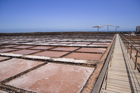 Desde Caleta de Fuste: Excursión a Fuerteventura Rural