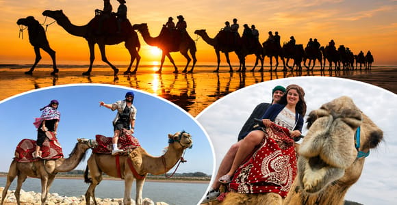 Agadir: Souss River Camel Ride & Flamingo Spotting