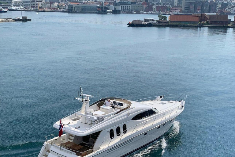 Lysefjord: The Viking's Fjord Path Ultimate Adventure