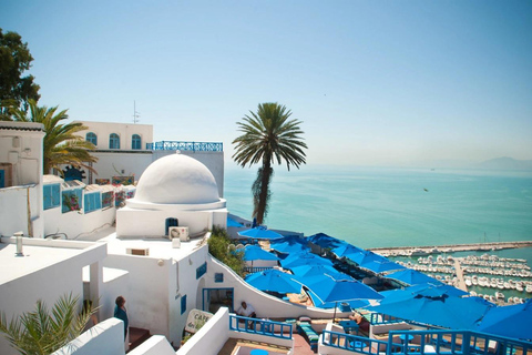 Carthage & Sidi Bou Said Day Trip: History and Blue Alleys Pick-up From: Hammamet / Tunis