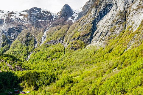 Balestrand: Fjord Sightseeing by Fast Boat