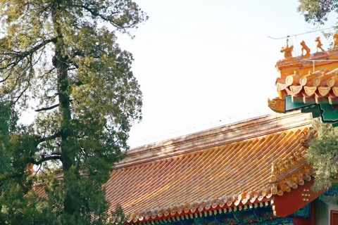 Beijing: Jingshan Park Entry Ticket