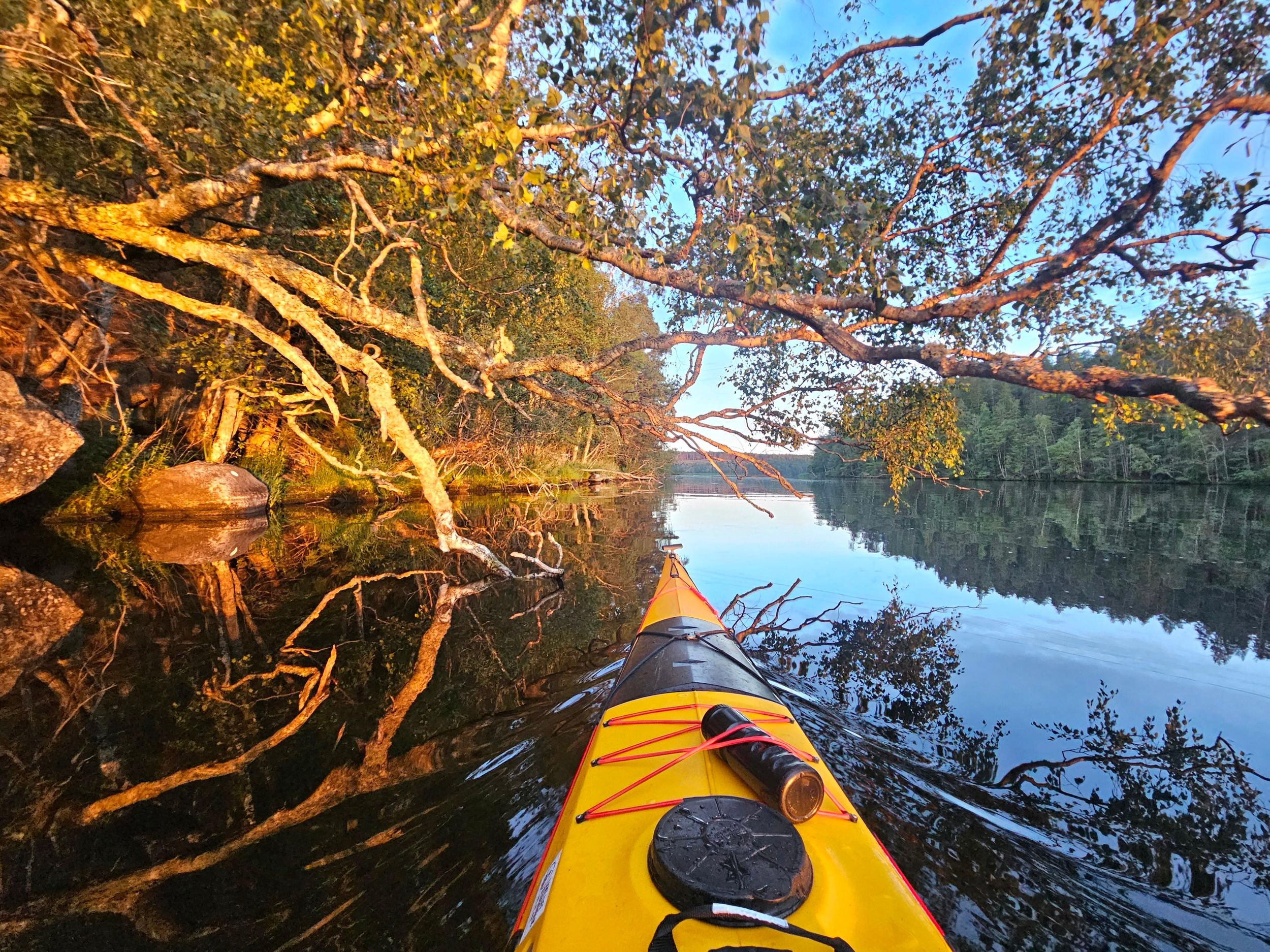 Stockholm: Anfängerfreundliche Kajaktour auf dem Mälarsee