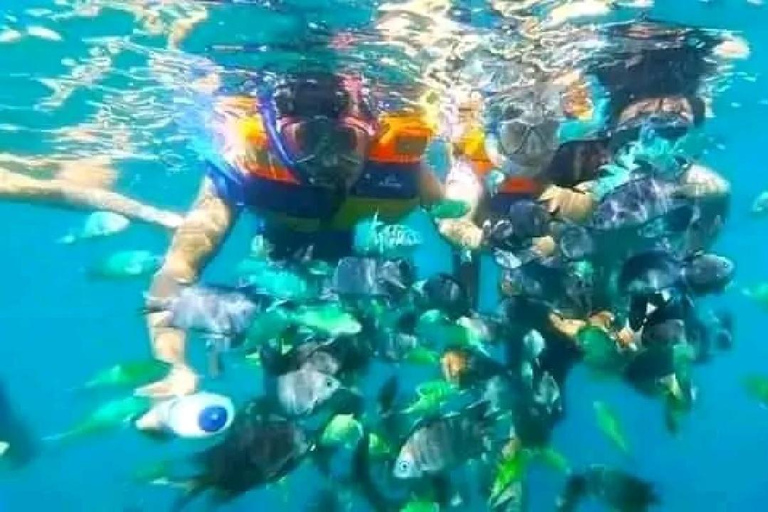 Excursion d&#039;une journée avec plongée en apnée Gili Layar/Gili Gede&amp;Gili Rengit