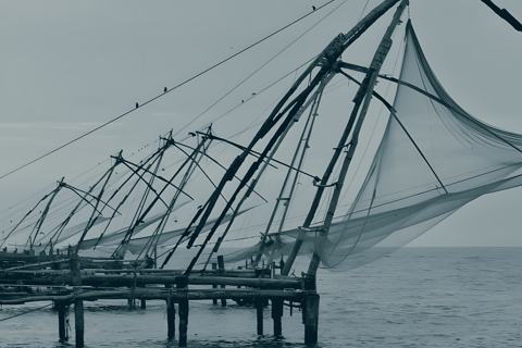 From Cochin Guided Tour of Fort Kochi with Drop at Kumarakom