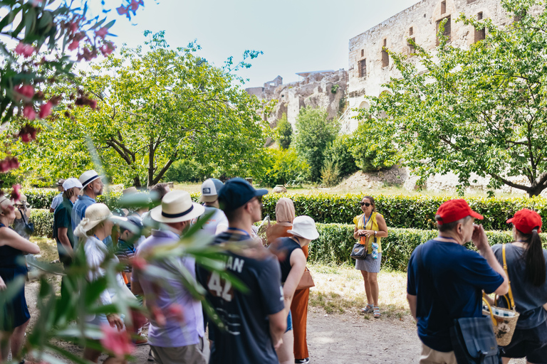 From Rome: Pompeii and Mount Vesuvius Day Trip with LunchPompei &amp; Vesuvius Area Walk with Geologist