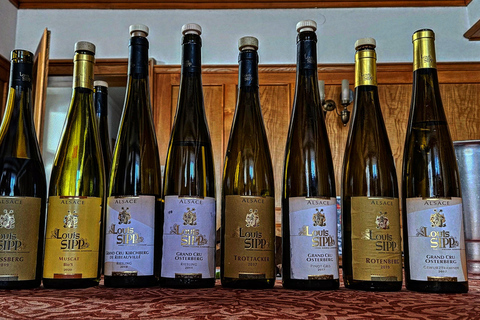 From Basel or Colmar: Baden-Württemberg Pinot Wine Tour