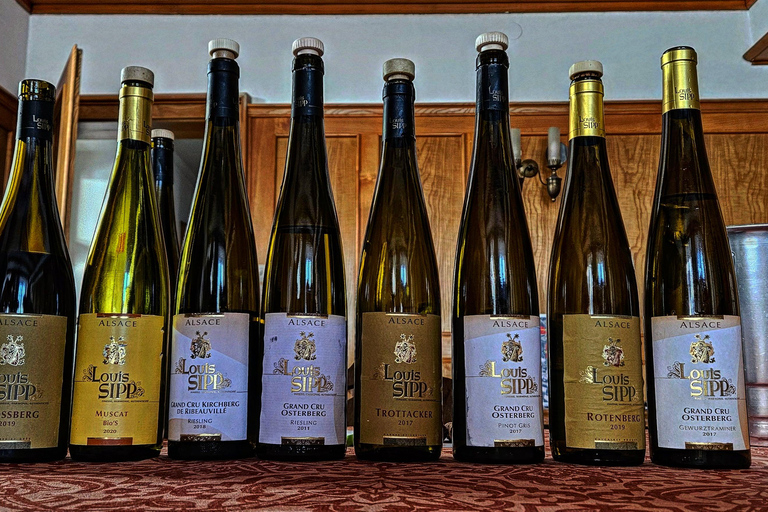 From Basel or Colmar: Baden-Württemberg Pinot Wine Tour