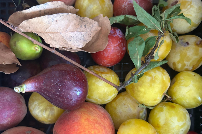 Lucca: Aula particular de culinária com massas caseiras