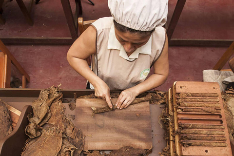 Trésors cachés de Tarapoto - Visite de la ville, du chocolat et des animaux