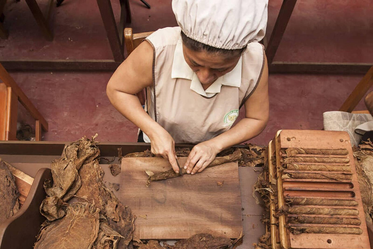 Verborgen schatten van Tarapoto - Stadsrondleiding, chocolade- en dierentocht