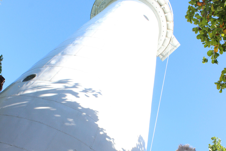 Port Douglas:Half Day Low Island and Lagoon Snorkelling Tour