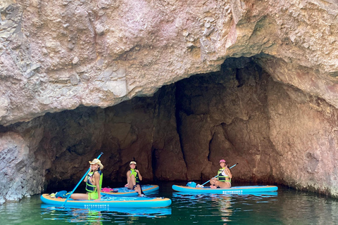 Plage de Willow : Location de paddle board