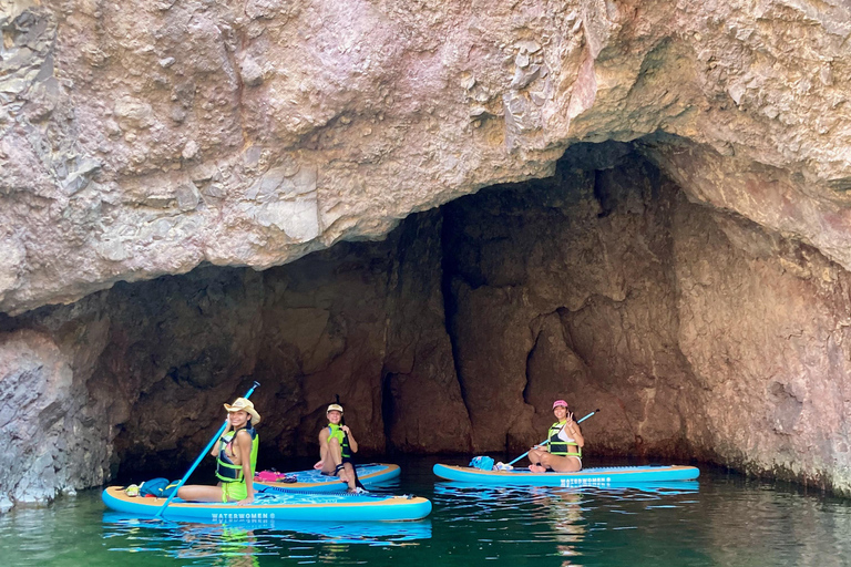 Plage de Willow : Location de paddle board