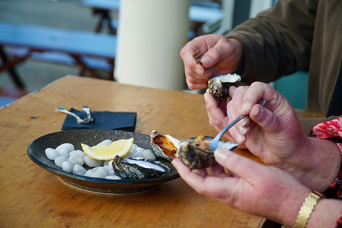 Hobart: passeio privado pela cidade com Monte Wellington e chá