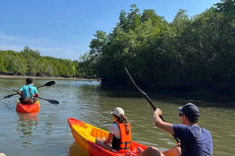 Koh Lanta: Amazon Mangrove Kayaking Tour With Lunch