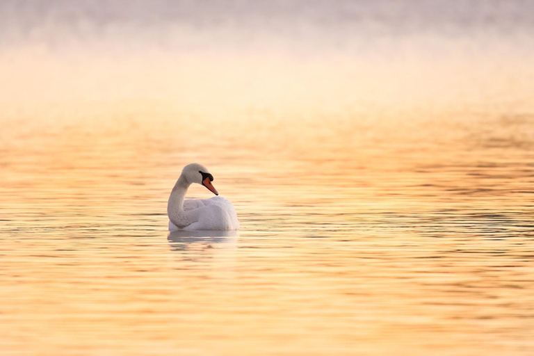 Beginners Wildlife Photography WorkshopBeginners Wildlife Photography Group Workshop