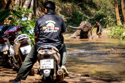 Chiangmai Full-Day Guided Backroad Self Drive Scooter Tour