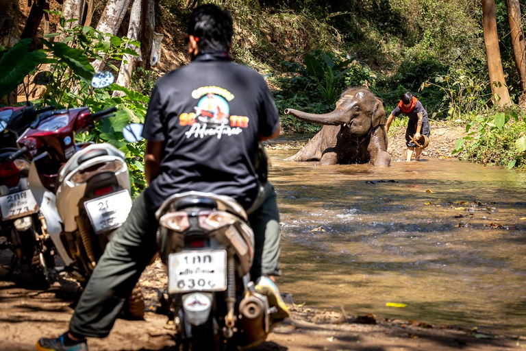 Chiangmai Full-Day Guided Backroad Self Drive Scooter Tour