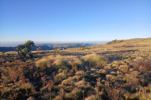 Nordäthiopien erkunden: 17-tägige Tour