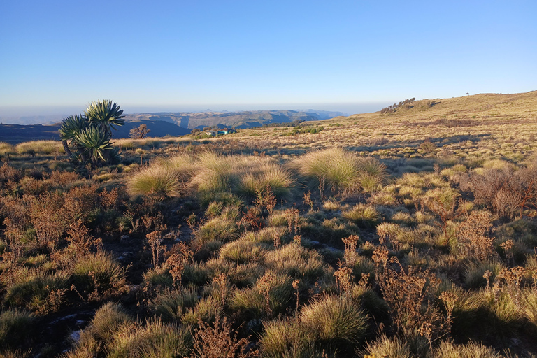 Nordäthiopien erkunden: 17-tägige Tour