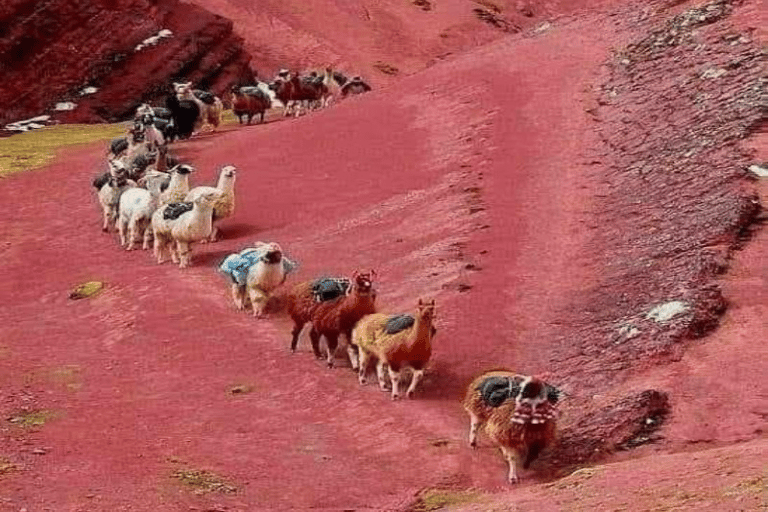 Cusco: Rainbow Mountain & Red Valley Small-Group Hiking Tour