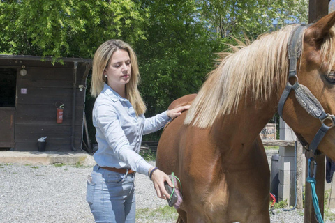 Certosa di Calci: Horseback Riding Experience for Beginners in Nature Horseback ride with aperitif