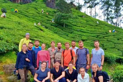 From Kochi:- 02 Days Munnar Hill Station & Nature Walk Tour 02 Days Munnar and Nature Walk Tour with 05- Star Hotel